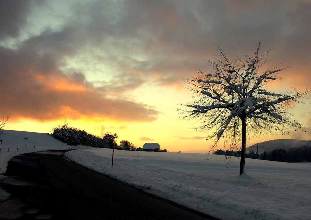 Abendstimmung