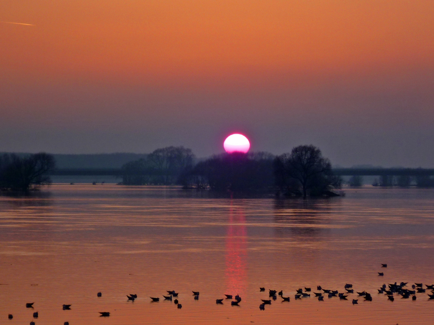 Abendstimmung