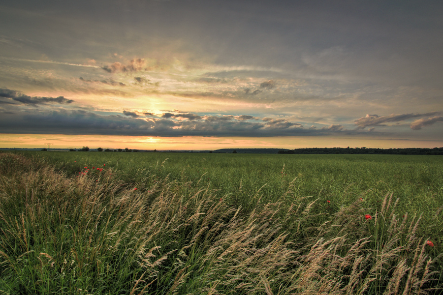 abendstimmung...