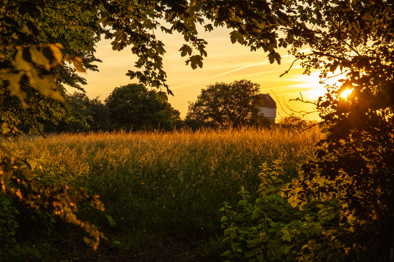 Abendstimmung...