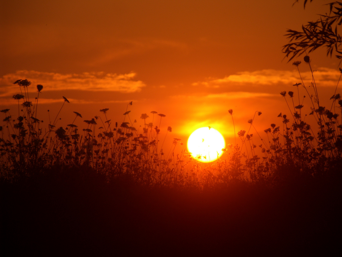 Abendstimmung