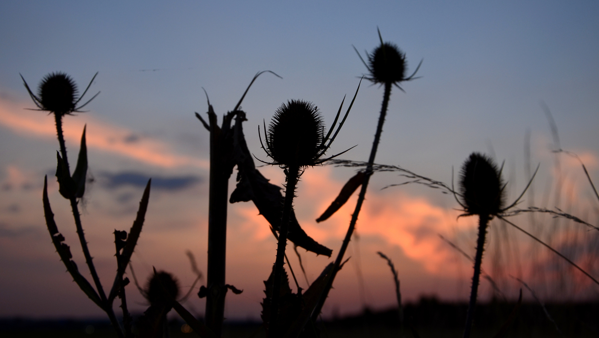 Abendstimmung