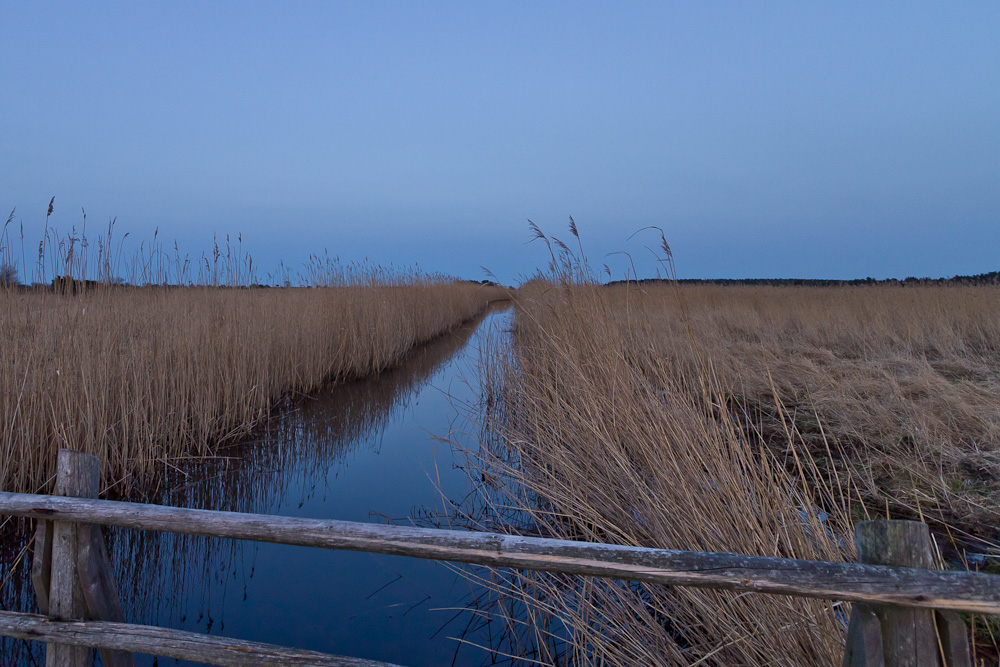 "Abendstimmung"