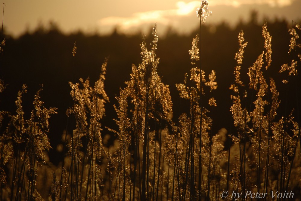 Abendstimmung