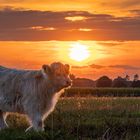 Abendstimmung