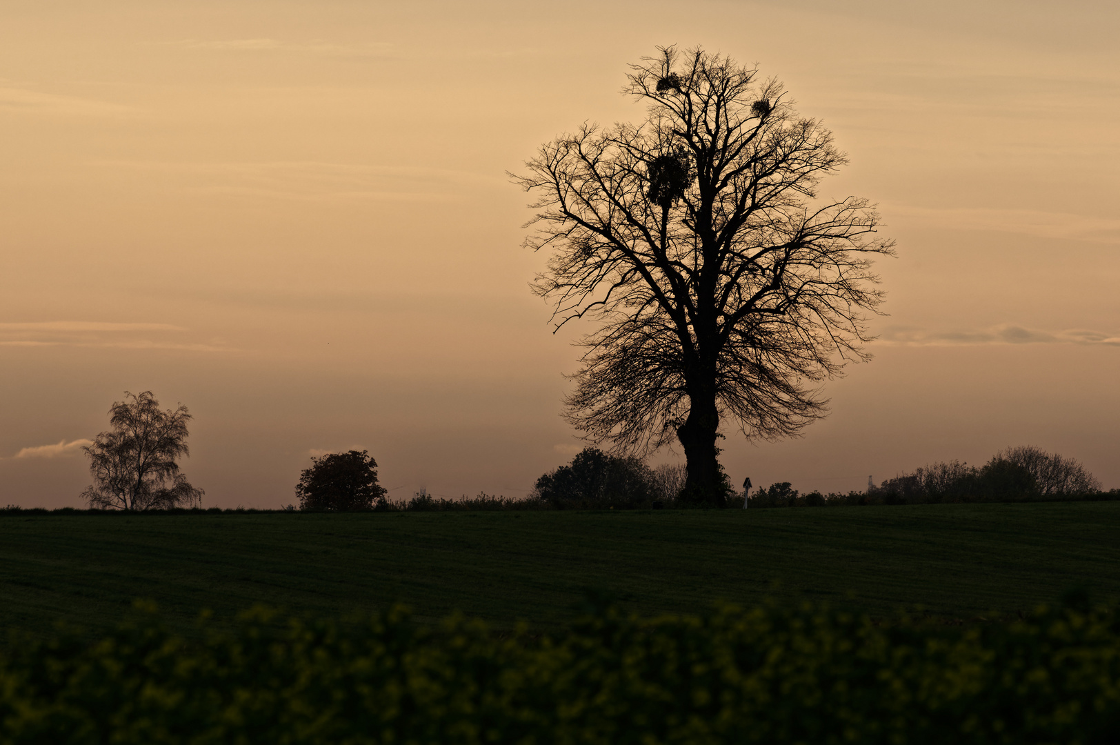 Abendstimmung