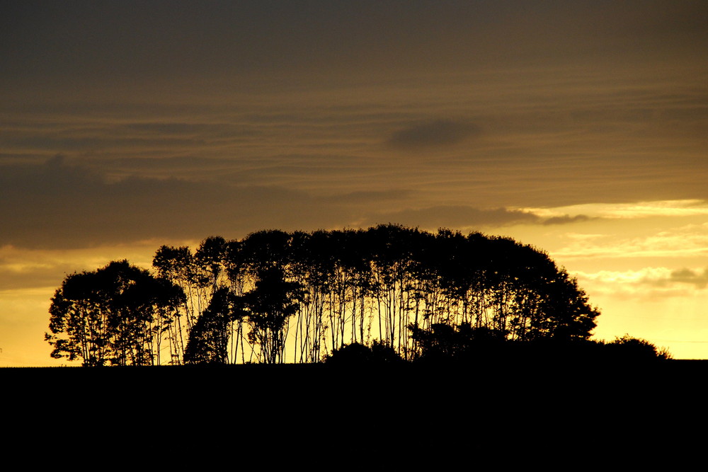 Abendstimmung