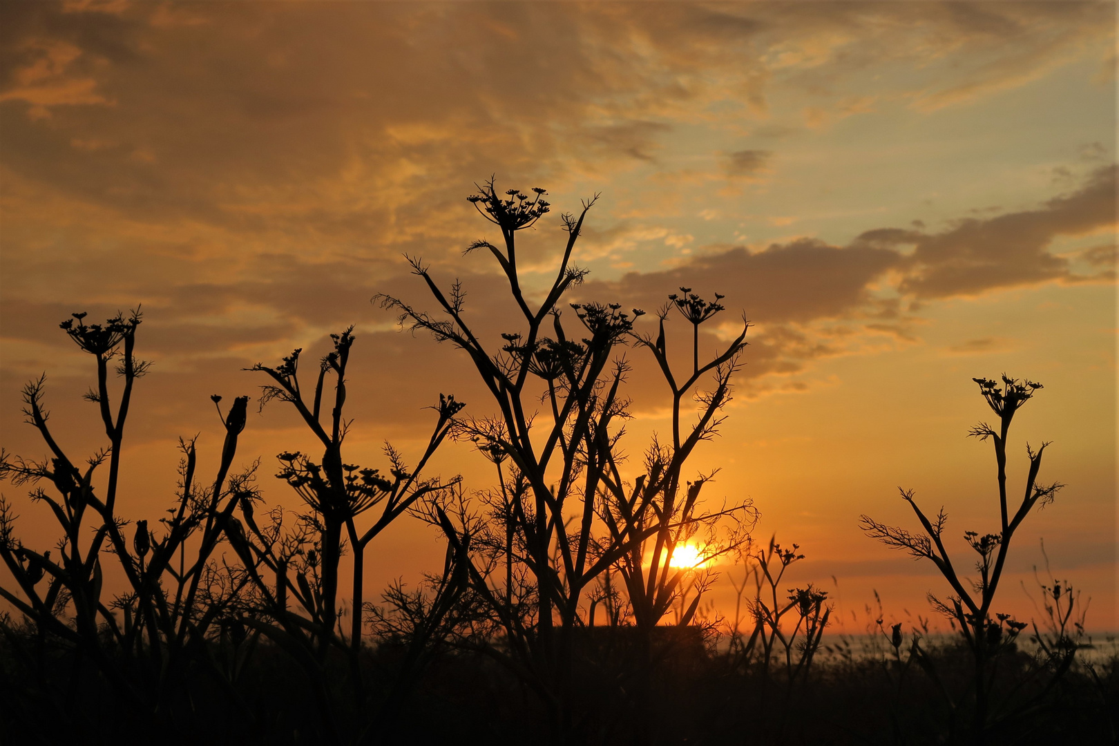 Abendstimmung