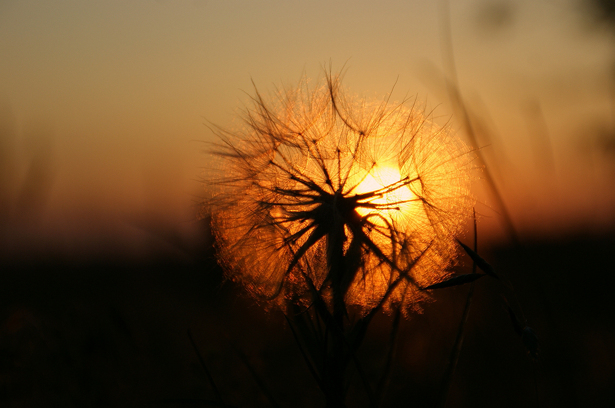 Abendstimmung