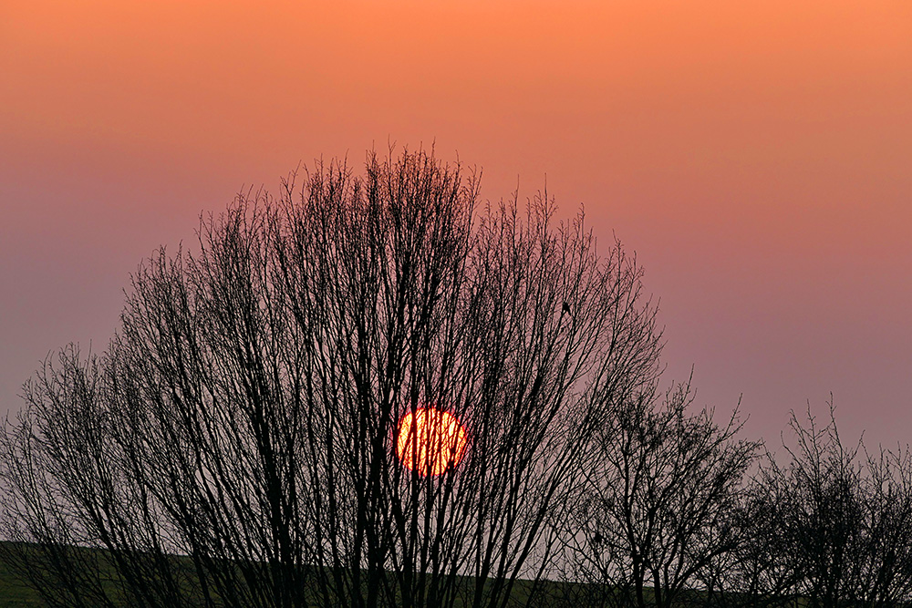 Abendstimmung