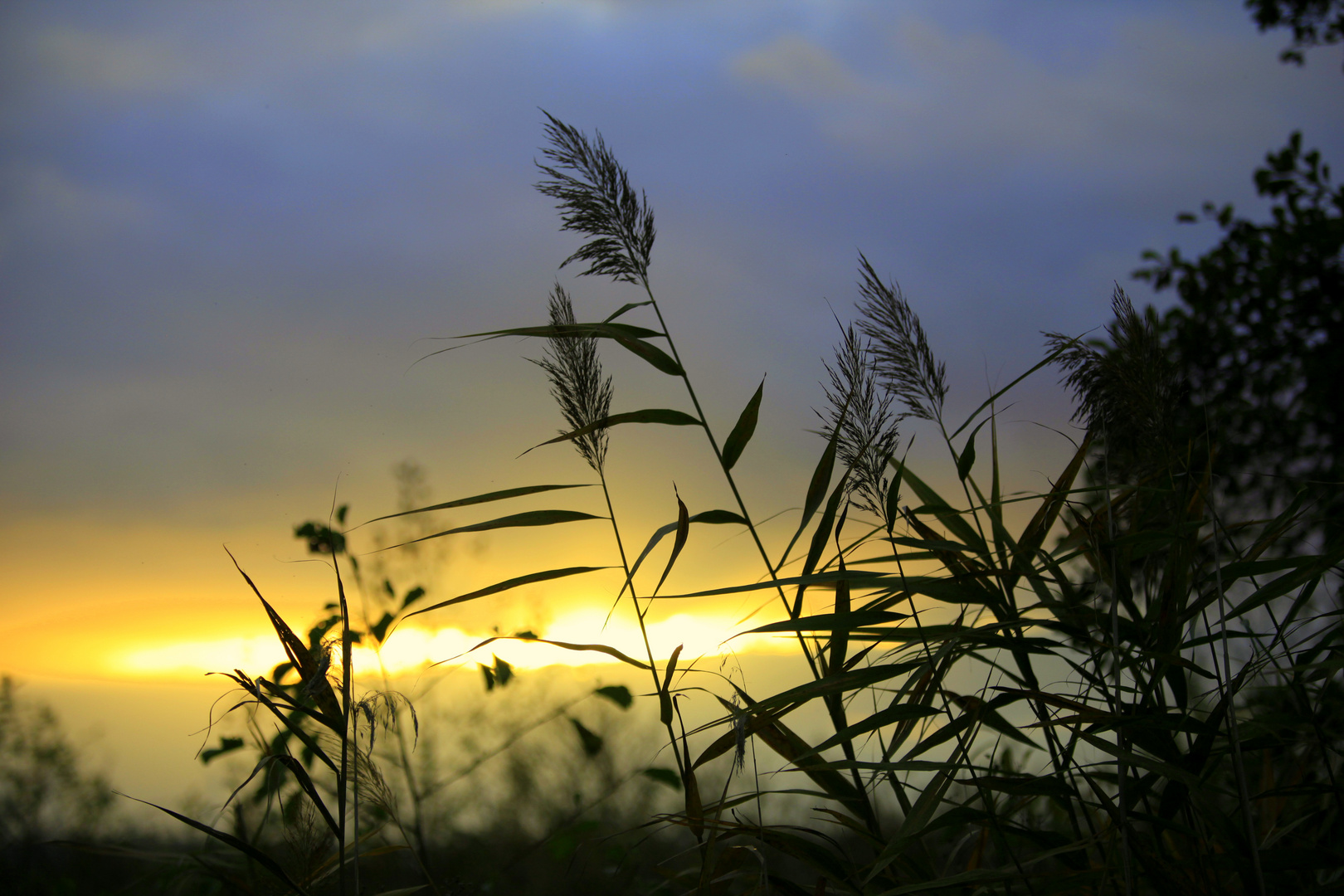 Abendstimmung