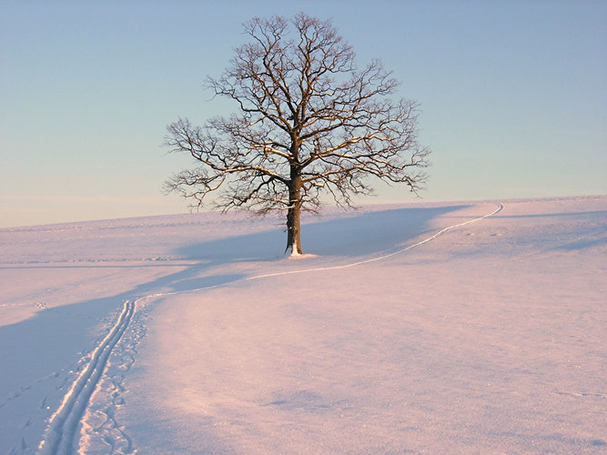 Abendstimmung