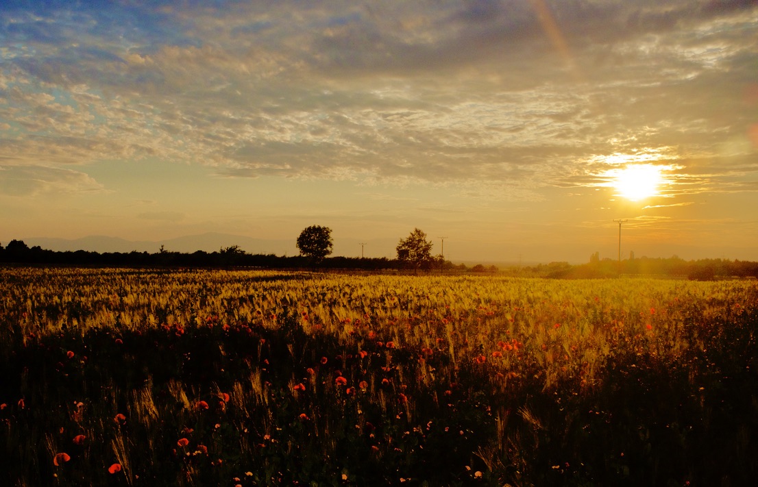 Abendstimmung