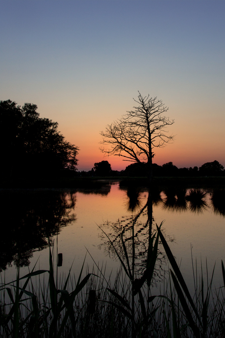 Abendstimmung