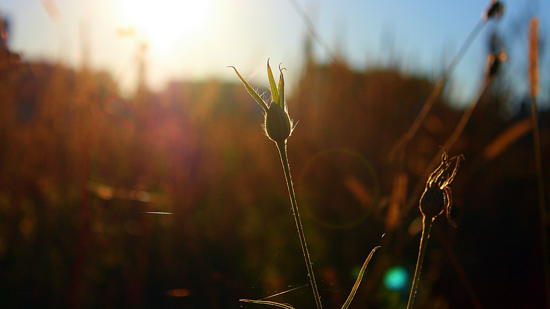 Abendstimmung