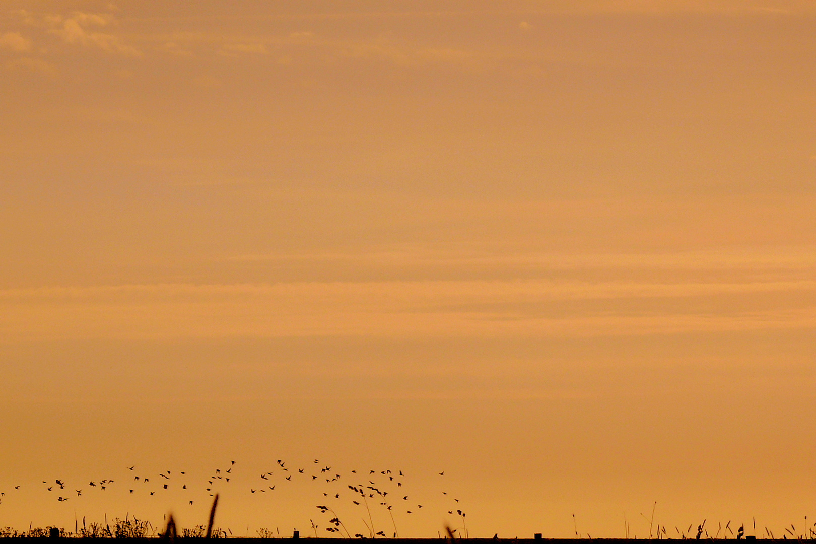 Abendstimmung