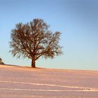 Abendstimmung als Pano IIII