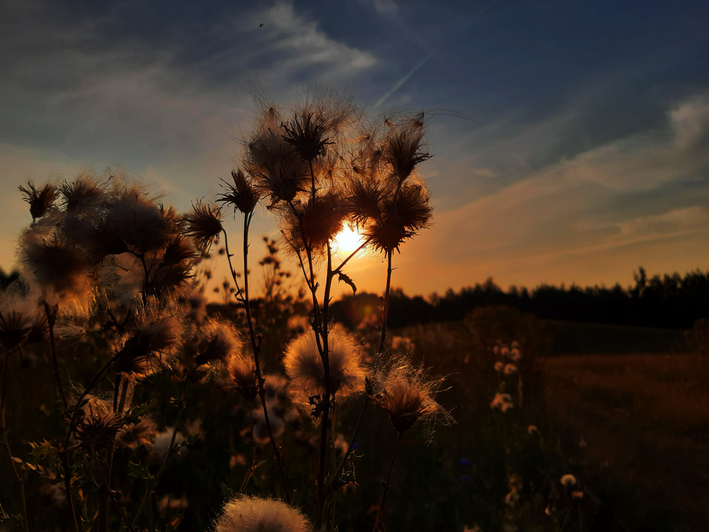 Abendstimmung am 14ten Loch.....