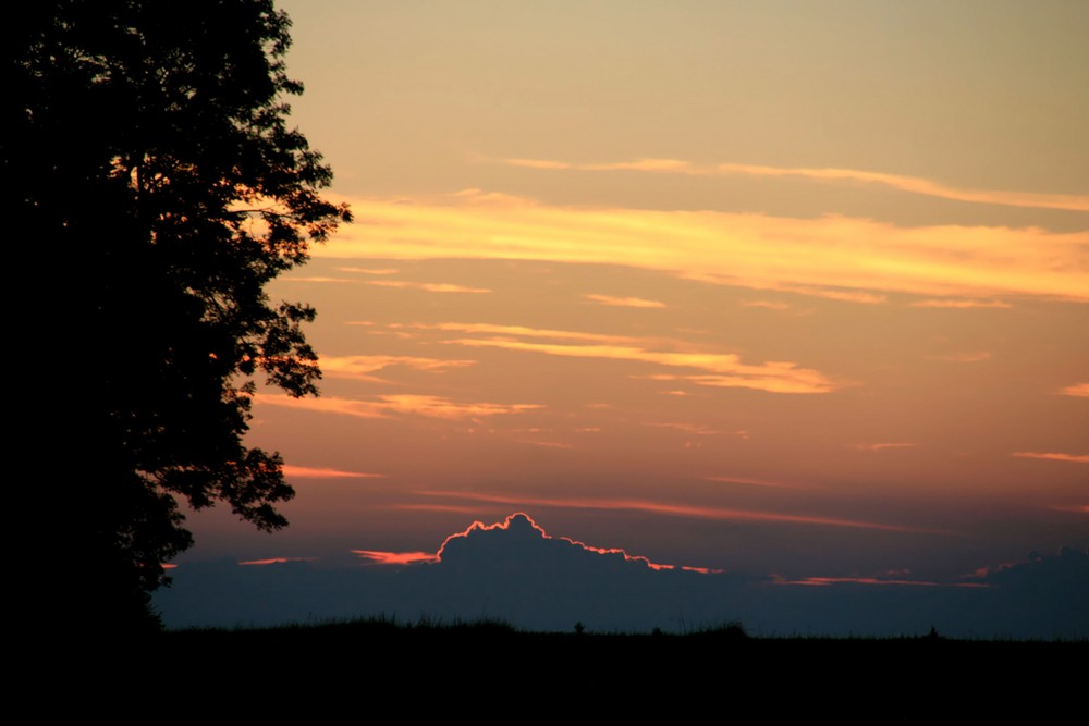 Abendstimmung am 2.8. (geändert)