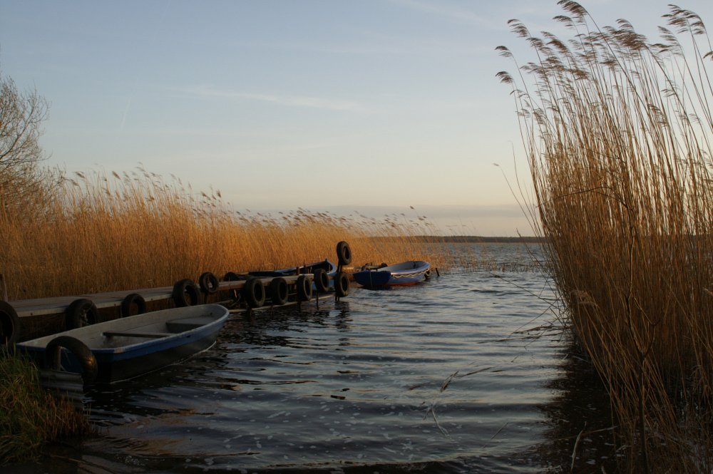 Abendstimmung am Achterwasser