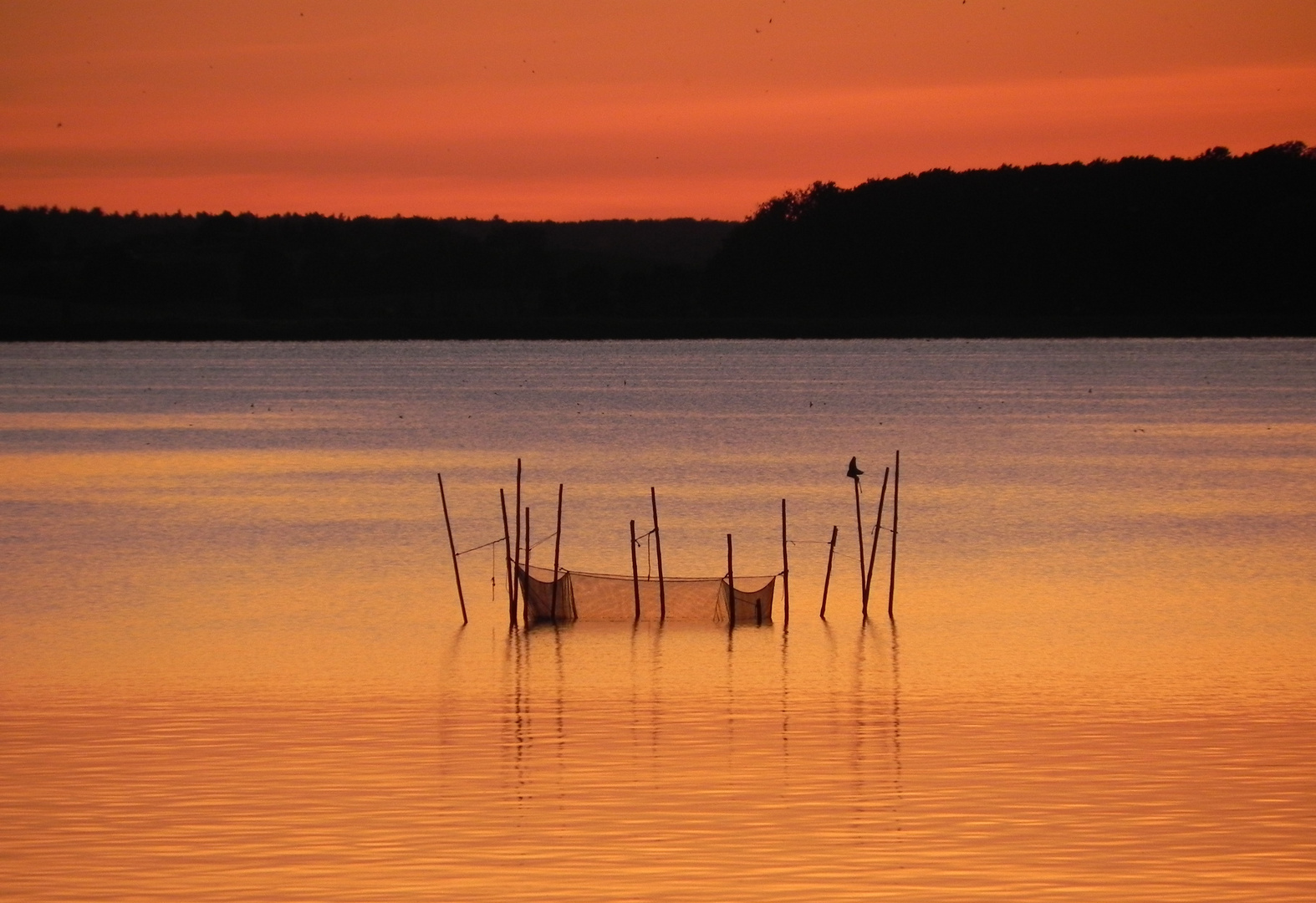 Abendstimmung am Achterwasser