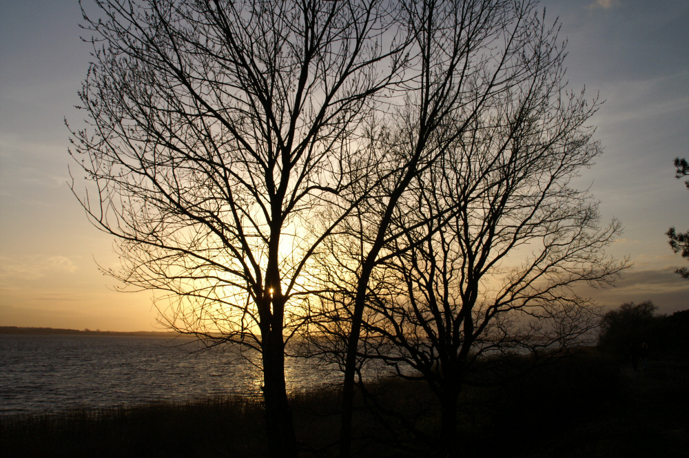 Abendstimmung am Achterwasser II