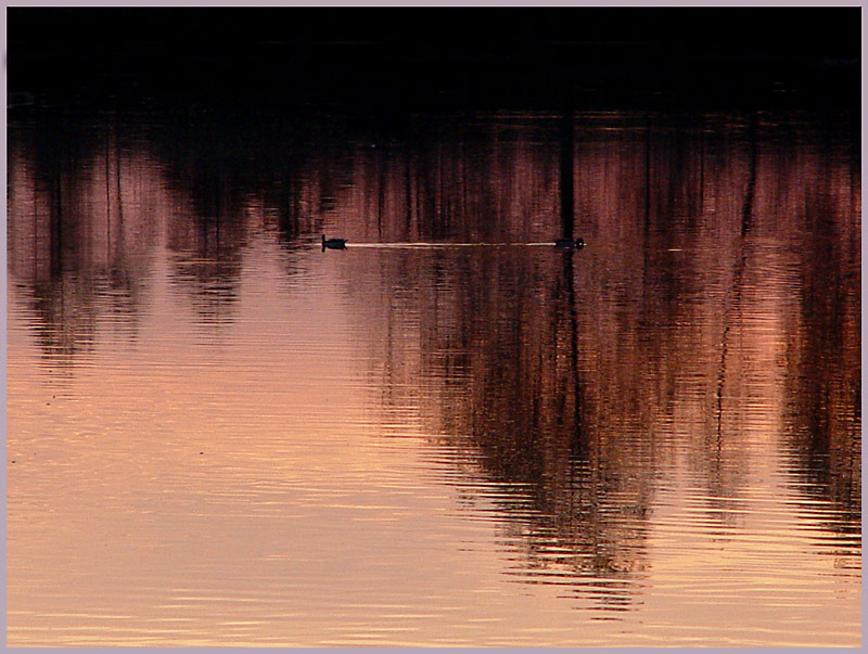 Abendstimmung am Altmühlsee