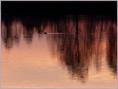 Abendstimmung am Altmühlsee