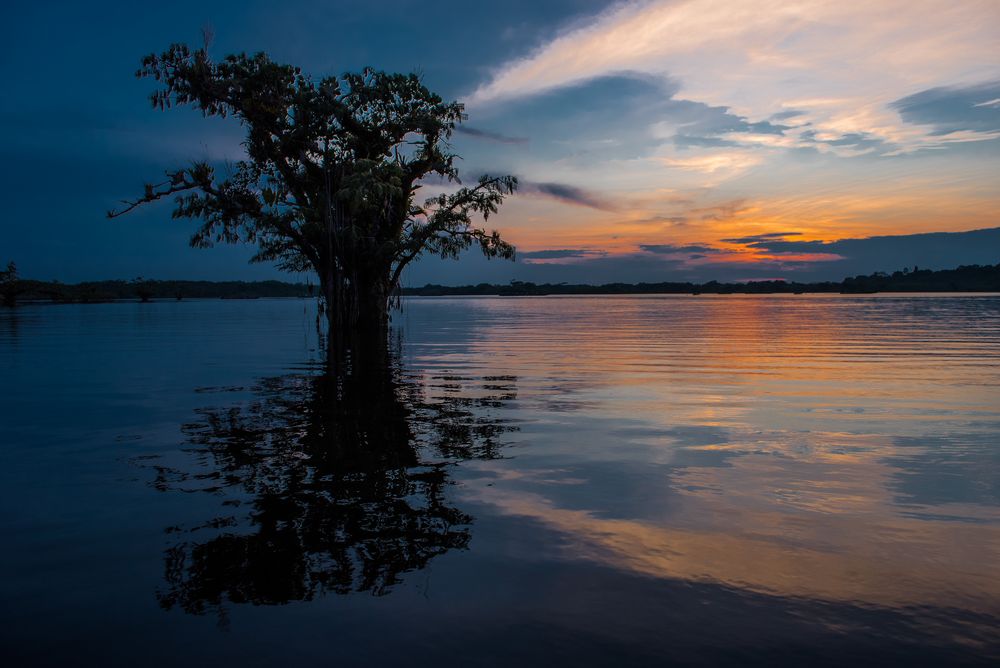 Abendstimmung am Amazonas