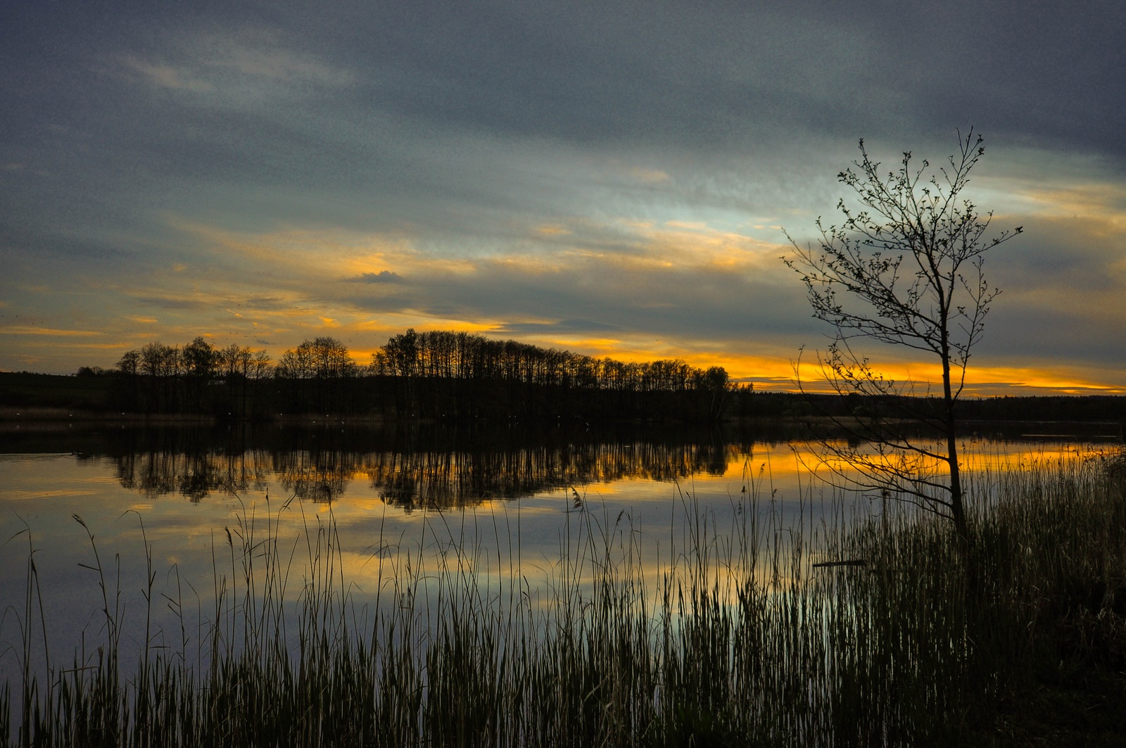 Abendstimmung am Amerikasee