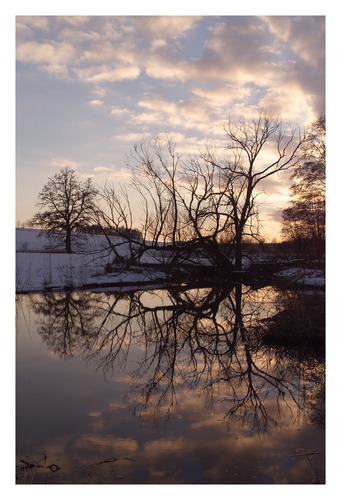 Abendstimmung am Aubach/Burgweinting