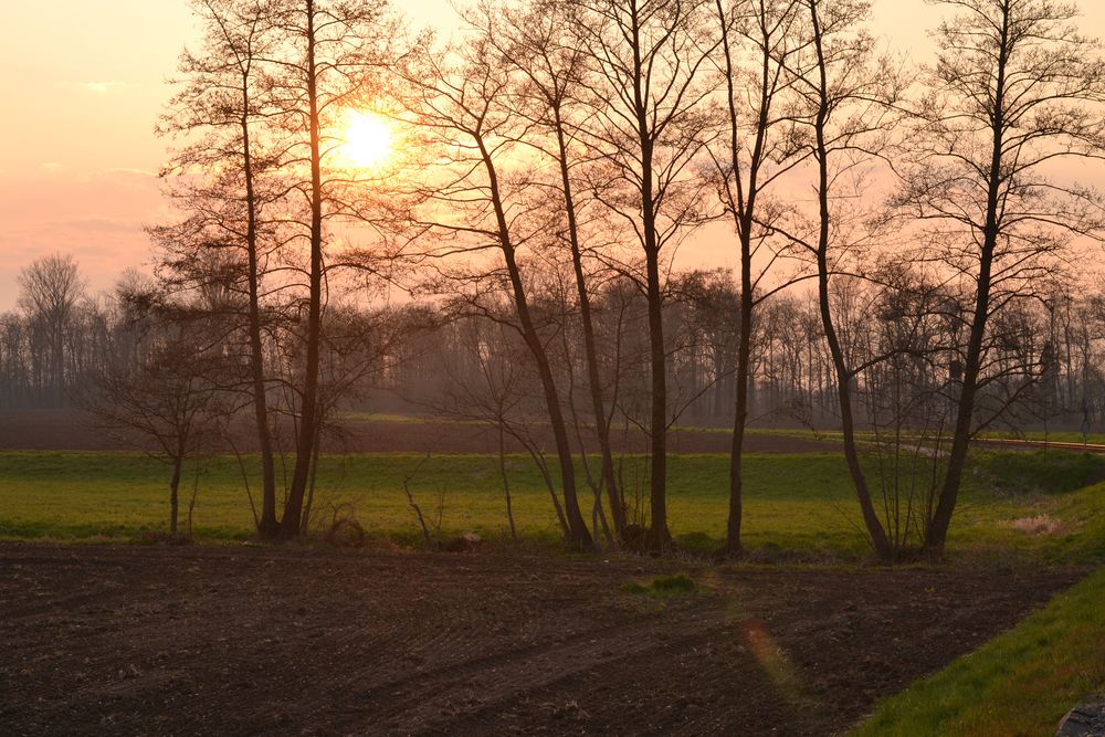 Abendstimmung am Bach