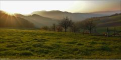 Abendstimmung am Bänkerjoch / Jura -CH