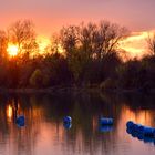 Abendstimmung am Baggersee