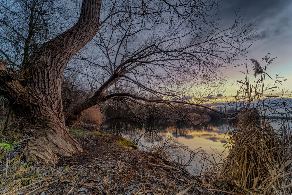 Abendstimmung am Baggersee 