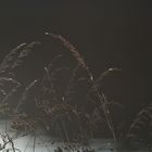 Abendstimmung am Baldeneysee