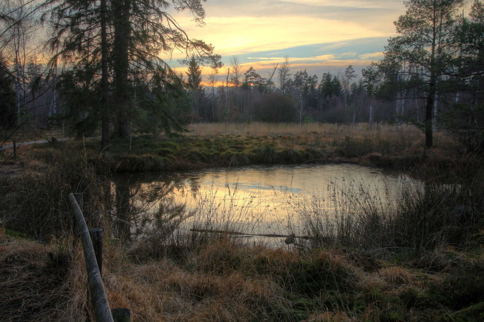 Abendstimmung am Birkensee (Schönbuch)