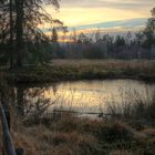 Abendstimmung am Birkensee (Schönbuch)