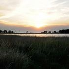 Abendstimmung am Bock (Insel im NP Vorpommersche Boddenlandschaft)