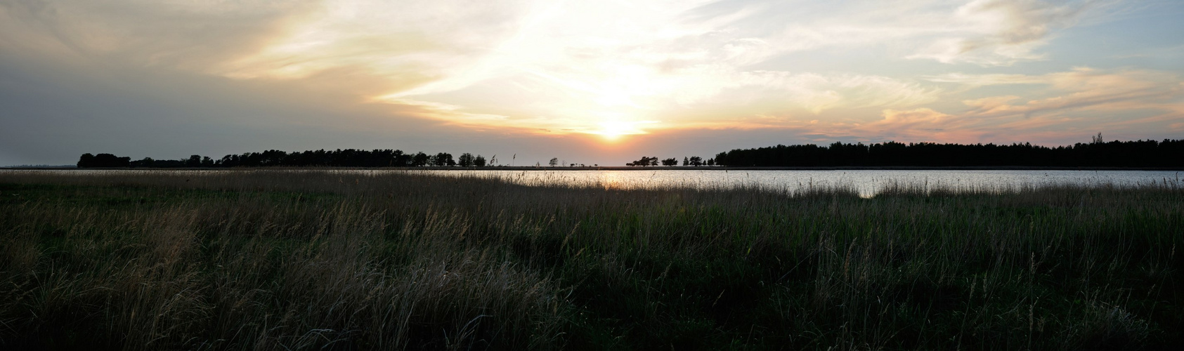 Abendstimmung am Bock (Insel im NP Vorpommersche Boddenlandschaft)