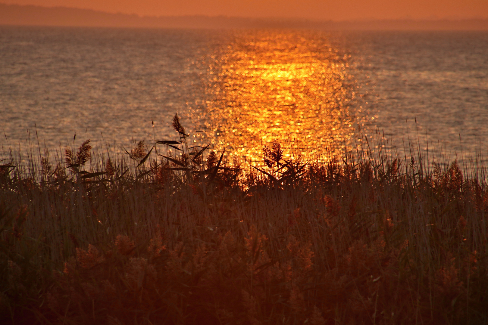 Abendstimmung am Bodden 2