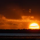 ~ Abendstimmung am Bodden ~