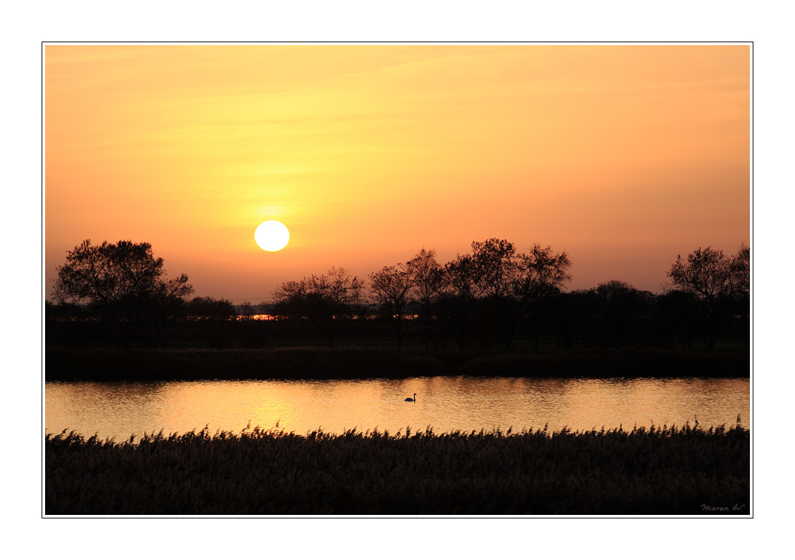 Abendstimmung am Bodden