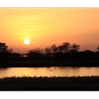 Abendstimmung am Bodden