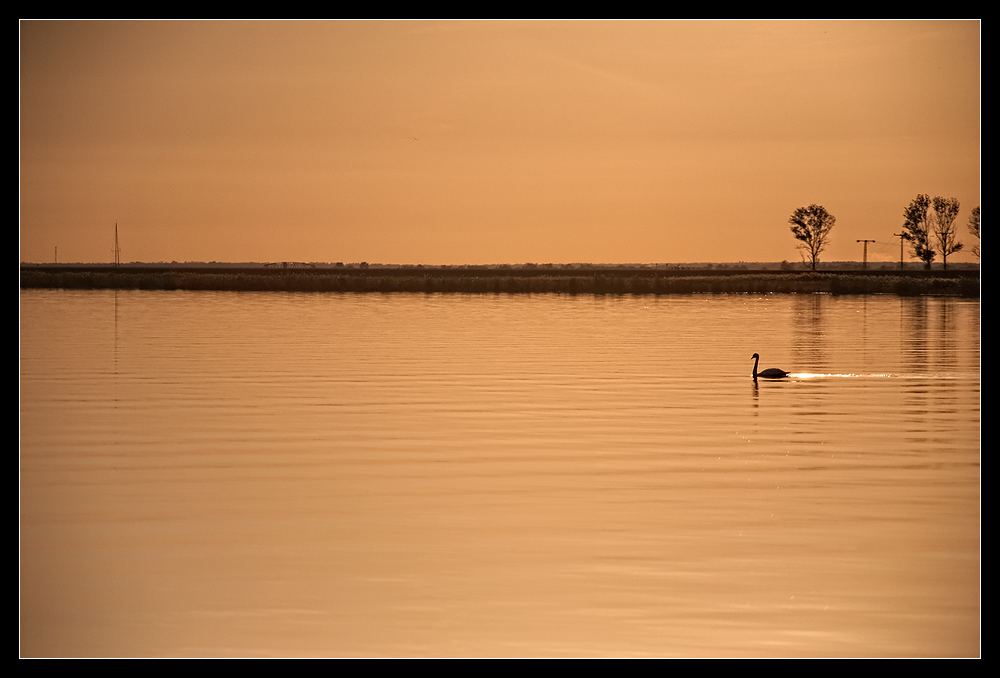 Abendstimmung am Bodden