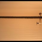 Abendstimmung am Bodden