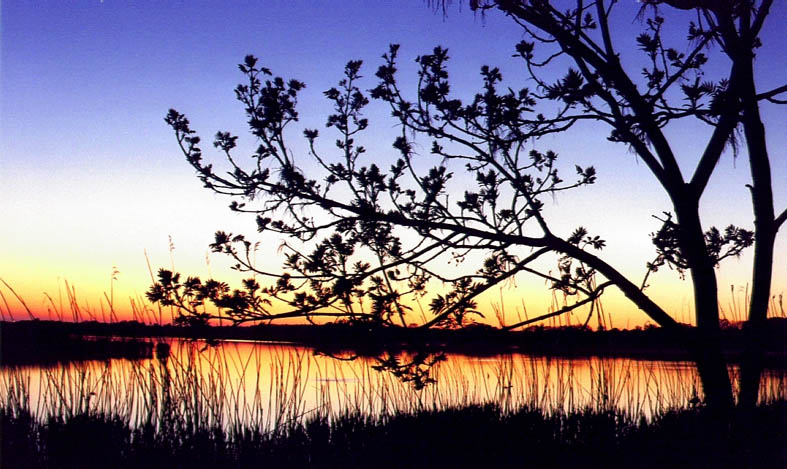 Abendstimmung am Bodden von J. Jansen