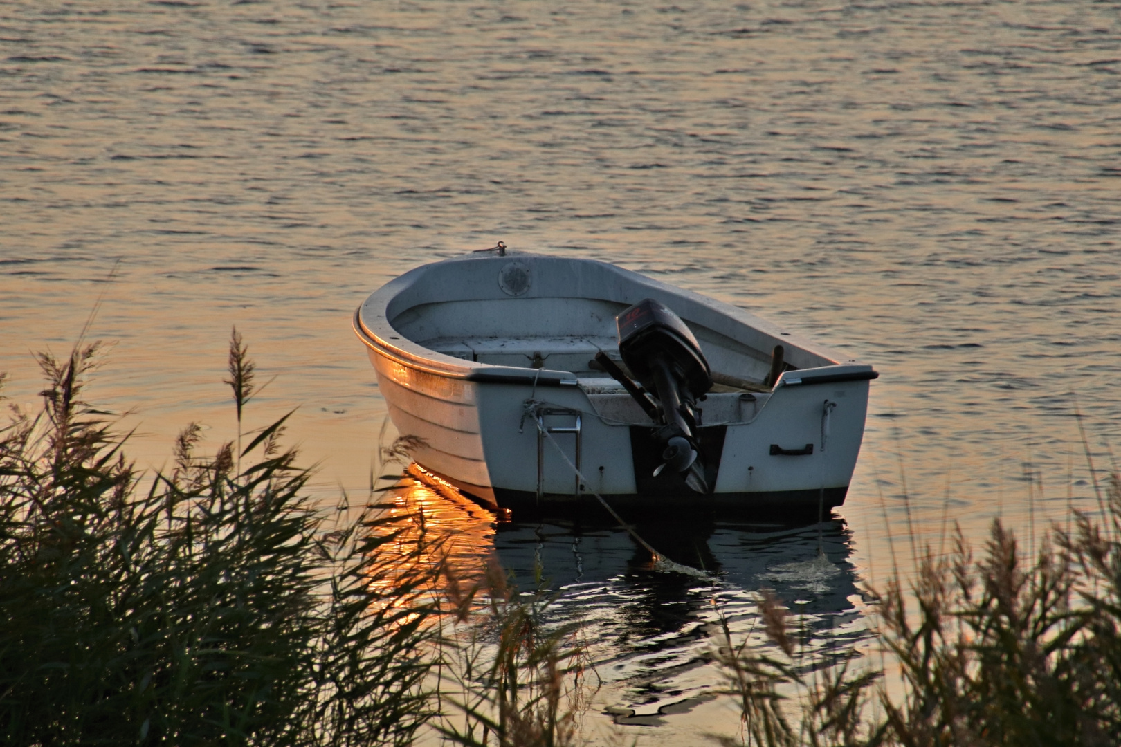 Abendstimmung am Bodden