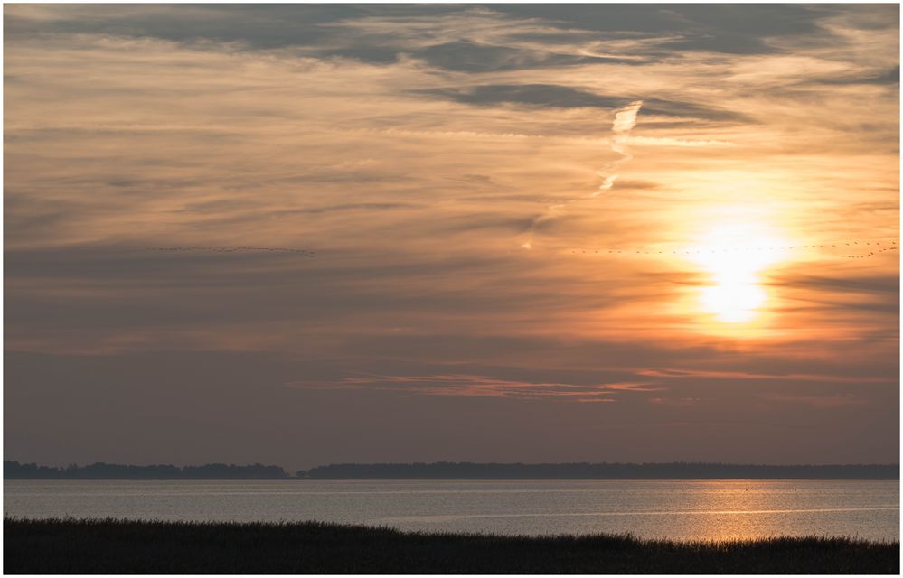 Abendstimmung am Bodden