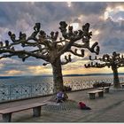 Abendstimmung am Bodensee